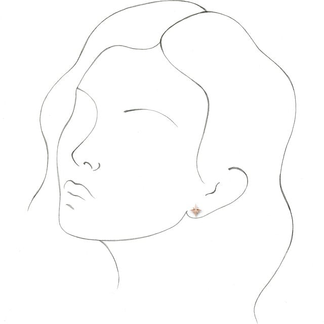 Accented Star Earrings