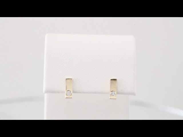 Accented Bar Earrings