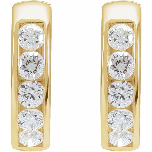 Hinged Hoop Earrings